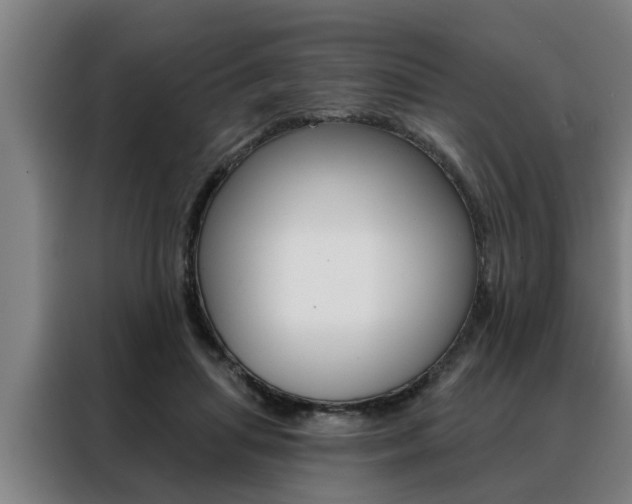 X0000088390455200705220804