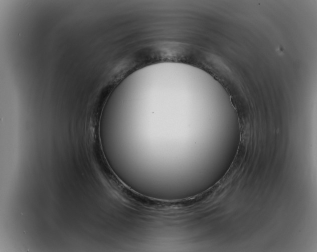 X0000088390456200705220804