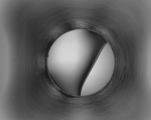 X0000088390457200705220804