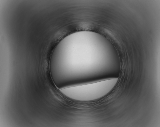 X0000088390459200705220804