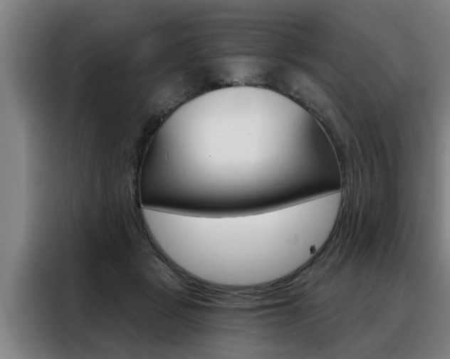 X0000088390461200705220804