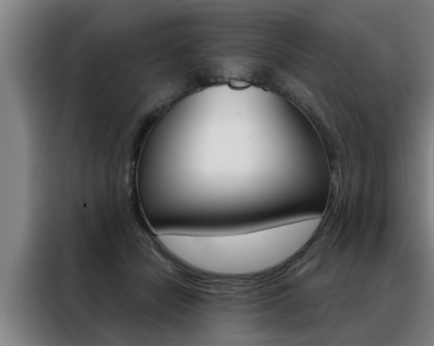 X0000088390462200705220804