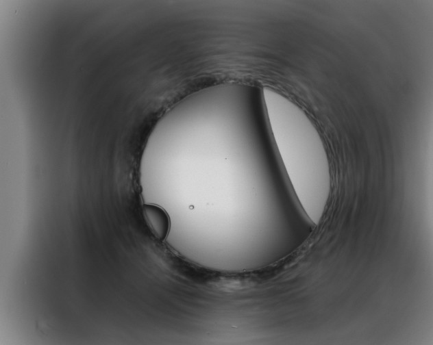 X0000088390464200705220804