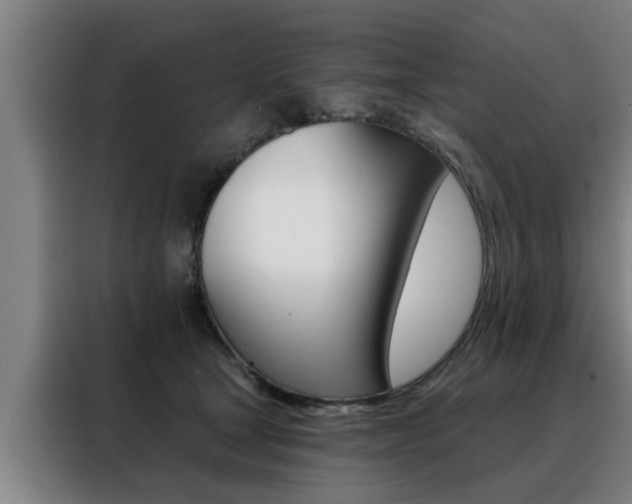 X0000088390465200705220804