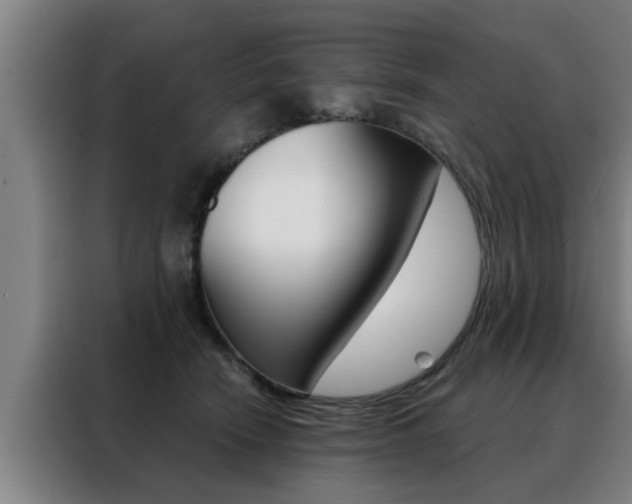 X0000088390466200705220804