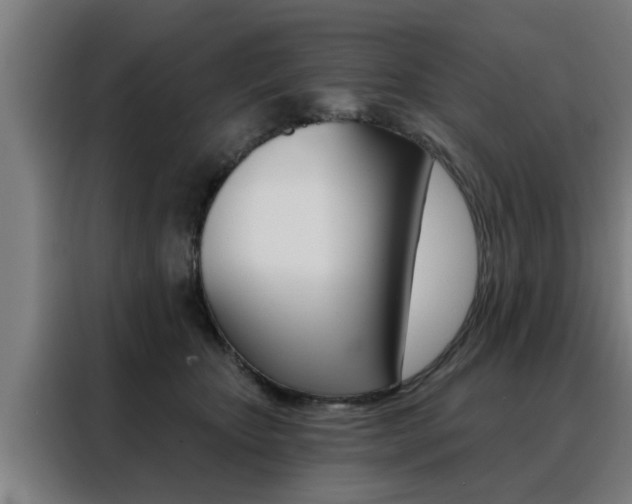 X0000088390467200705220804