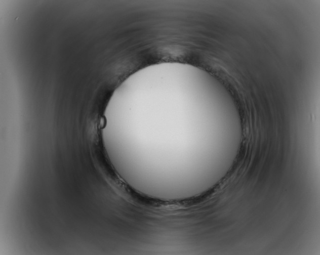 X0000088390468200705220804