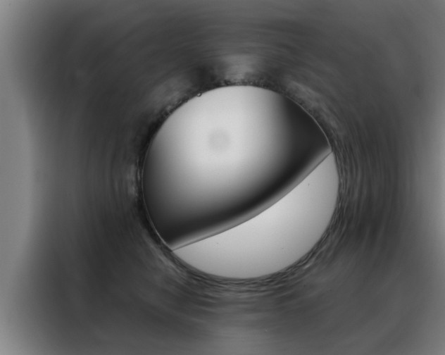 X0000088390470200705220804