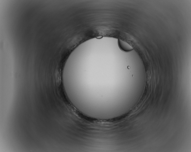 X0000088390471200705220804