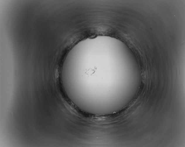 X0000088390472200705220804