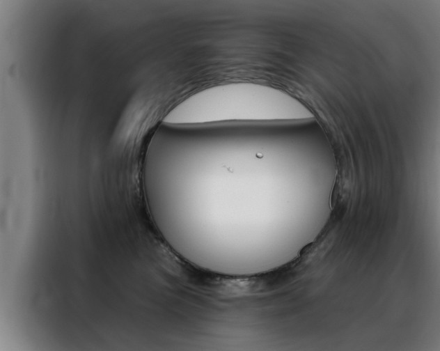 X0000088390473200705220804