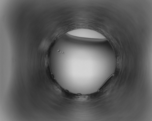 X0000088390474200705220804