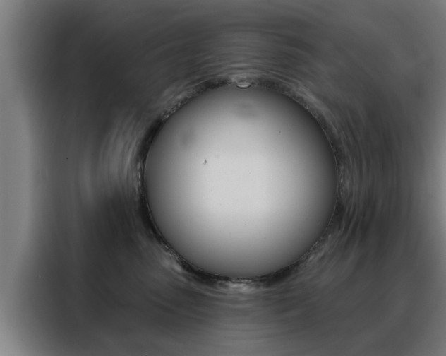 X0000088390475200705220804