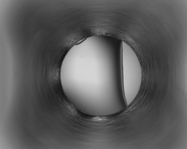 X0000088390477200705220804