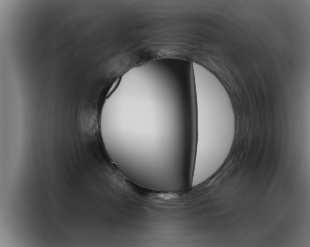 X0000088390478200705220805