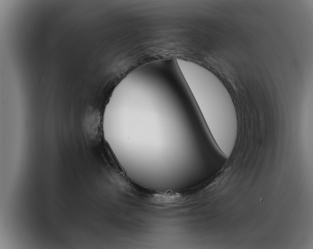 X0000088390480200705220805