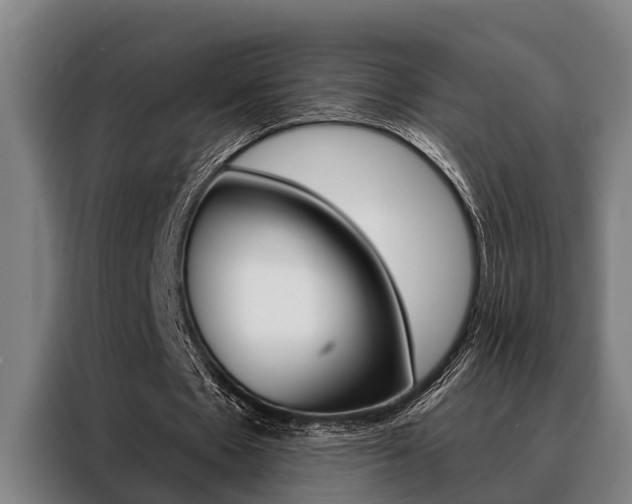 X0000088390481200705220804