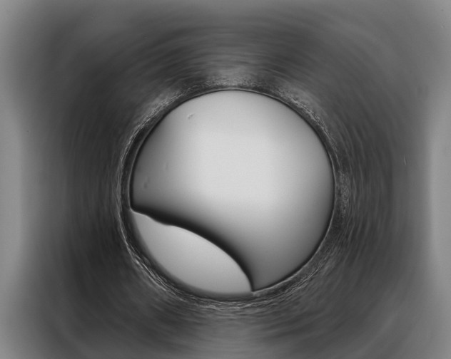 X0000088390482200705220804