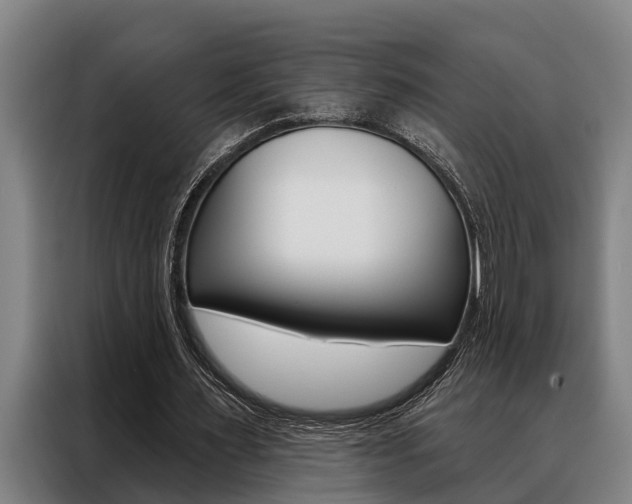 X0000088390483200705220804