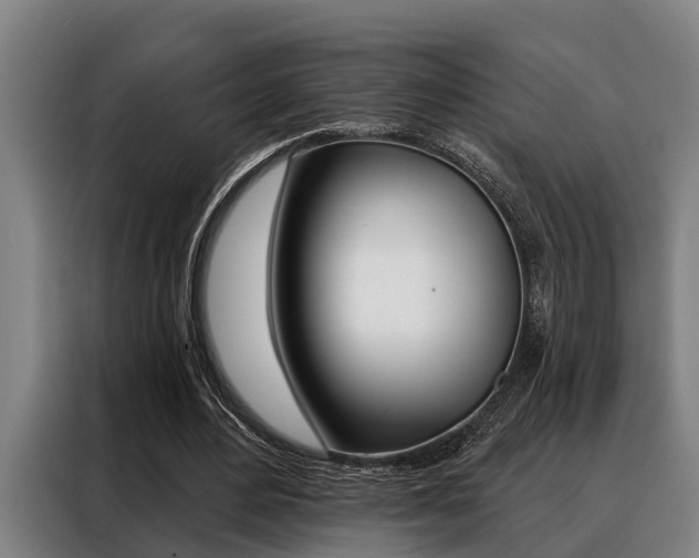 X0000088390484200705220804