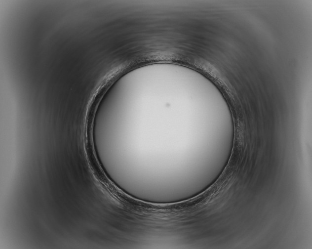 X0000088390486200705220804