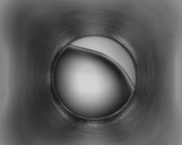 X0000088390489200705220804