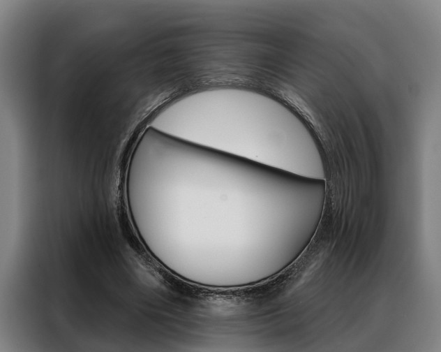 X0000088390490200705220804