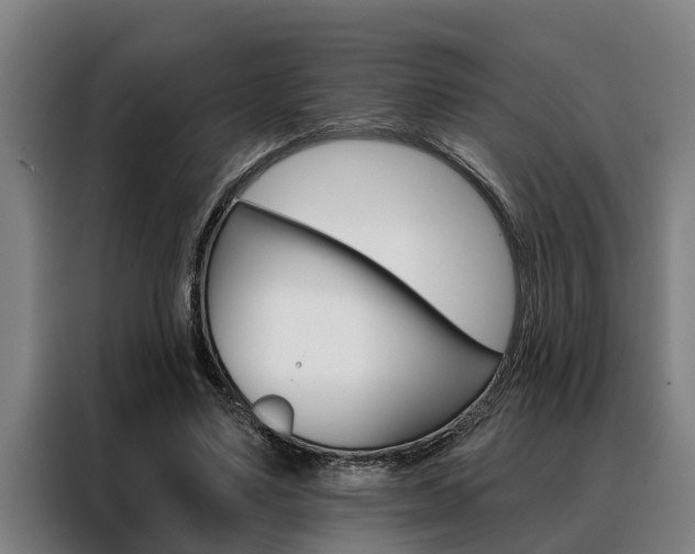 X0000088390491200705220804