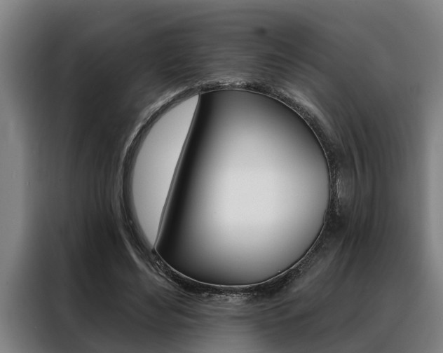 X0000088390492200705220804