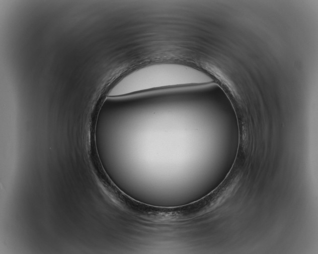 X0000088390493200705220804