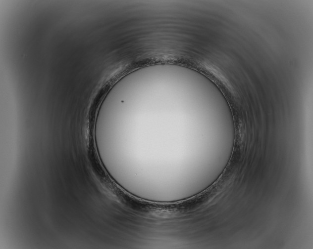 X0000088390494200705220804