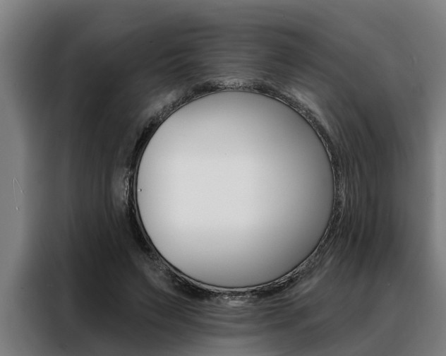 X0000088390495200705220804