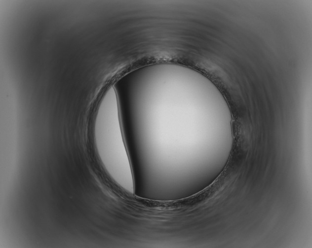 X0000088390496200705220804