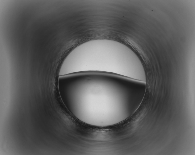 X0000088390497200705220804