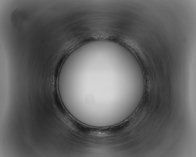 X0000088390498200705220804