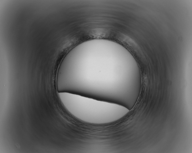 X0000088390499200705220804