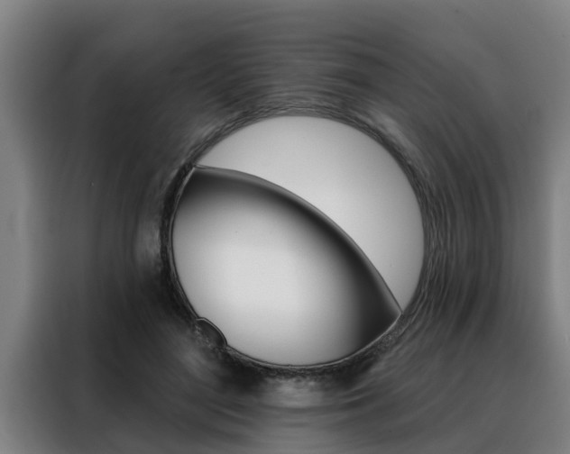 X0000088390500200705220804