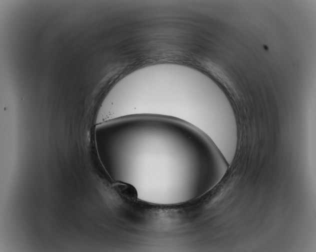 X0000088390501200705220804