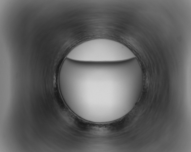 X0000088390502200705220804