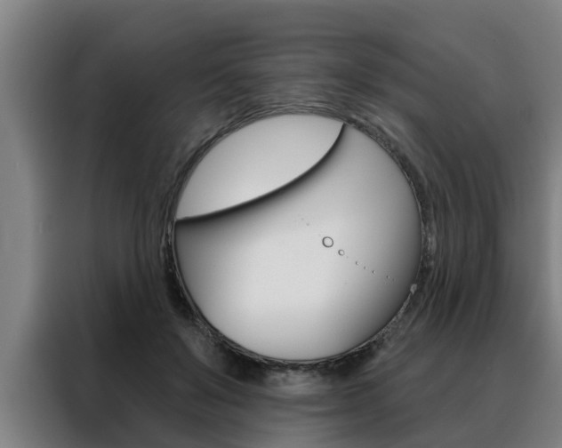 X0000088390503200705220804