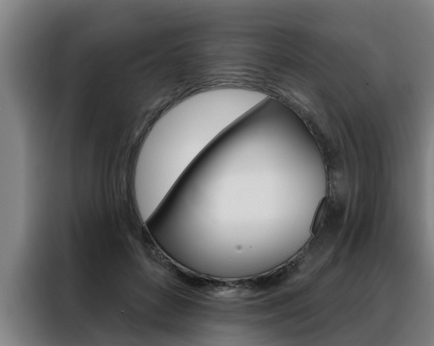 X0000088390504200705220804