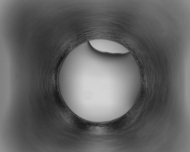 X0000088390506200705220804