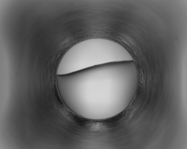 X0000088390507200705220804