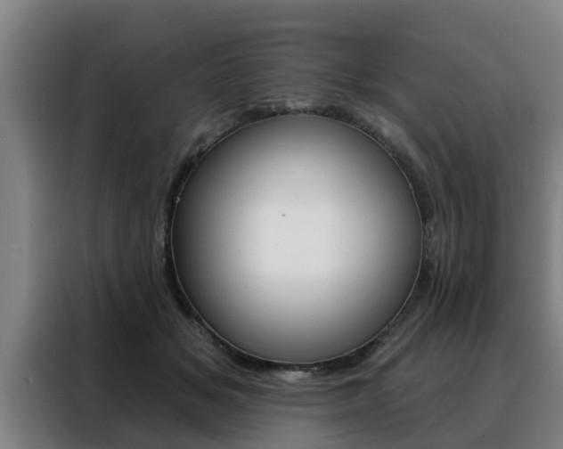 X0000088390509200705220804