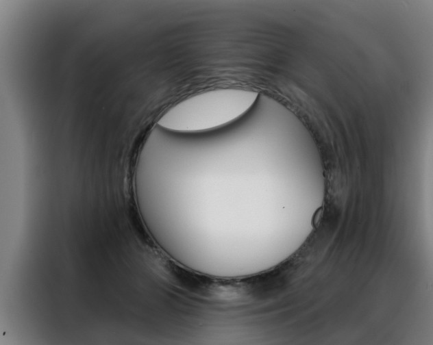 X0000088390510200705220804