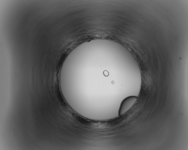 X0000088390511200705220804