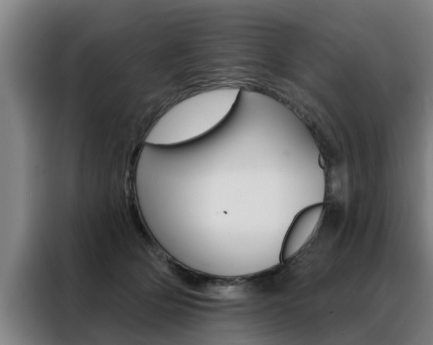 X0000088390514200705220803