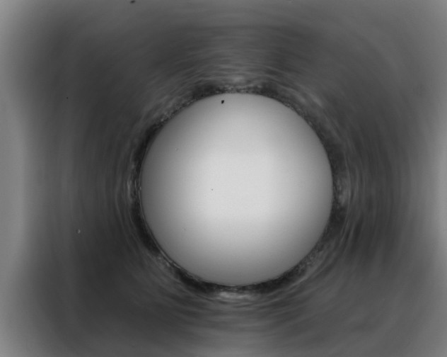 X0000088390515200705220803