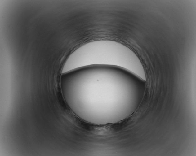 X0000088390516200705220803