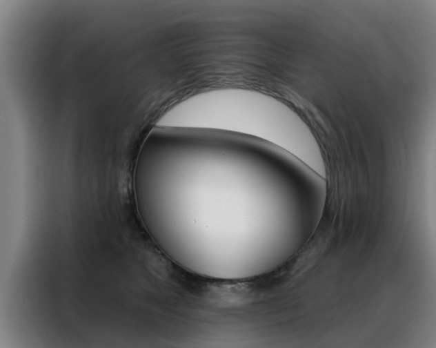 X0000088390517200705220803